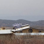 Licorice_Liquorice_Factory_IranLicorice